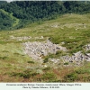 parnassius nordmanni biotope2b